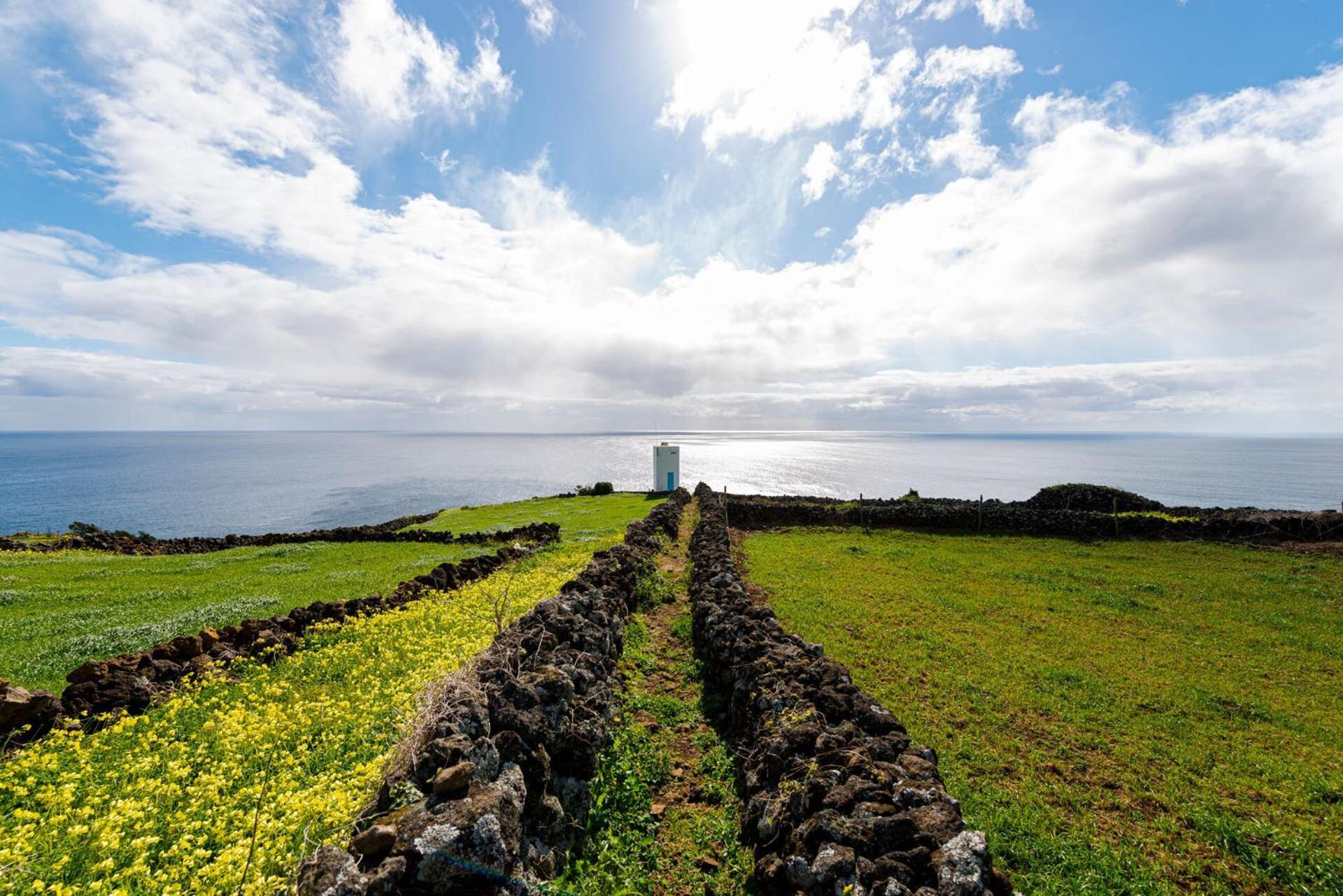 Engenho Hostel Lajes do Pico Eksteriør bilde